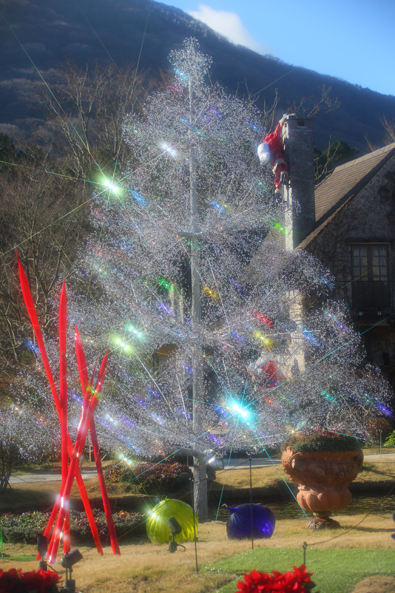クリスマス 箱根 イルミネーション ガラスの森 ライトアップ