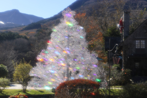 クリスタル・ガラスのクリスマスツリー | 箱根ガラスの森美術館