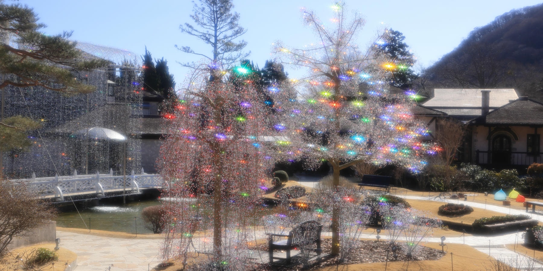 クリスタル・ガラスのサクラ | 箱根ガラスの森美術館 | ヴェネチアン